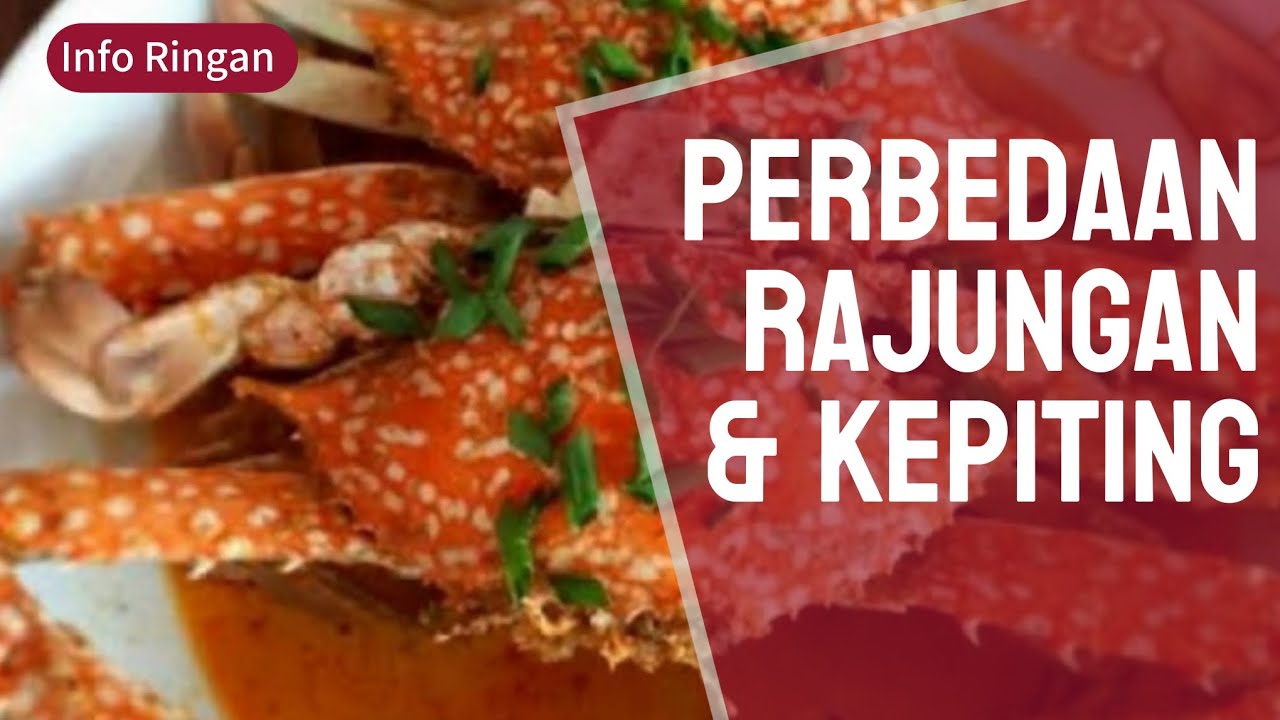 Info Ringan : Perbedaan Rajungan Dan Kepiting 