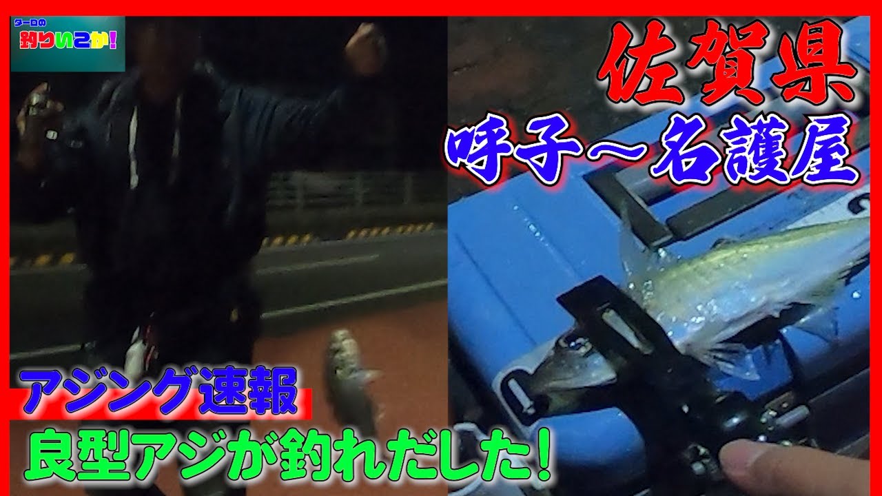 パターンを掴め！アジング~良型アジが釣れだした！？