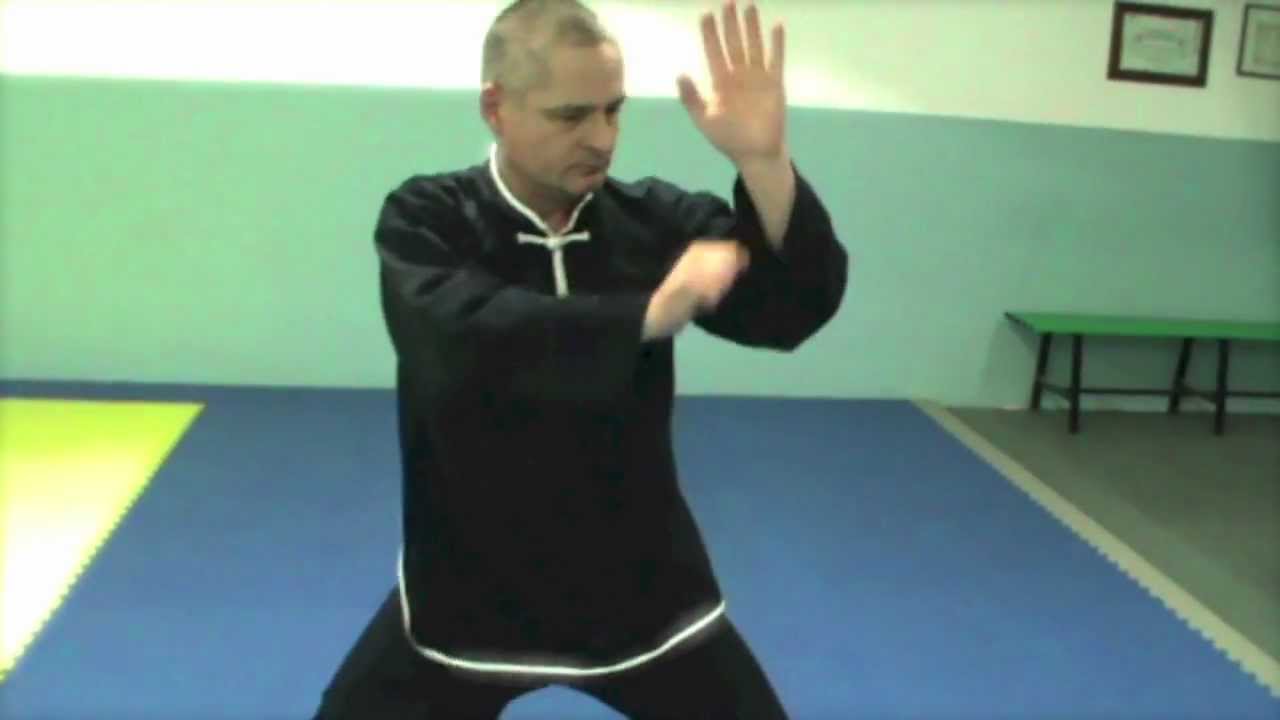Tai Ji Quan Volpiano - Hara Kai Video (Ita)