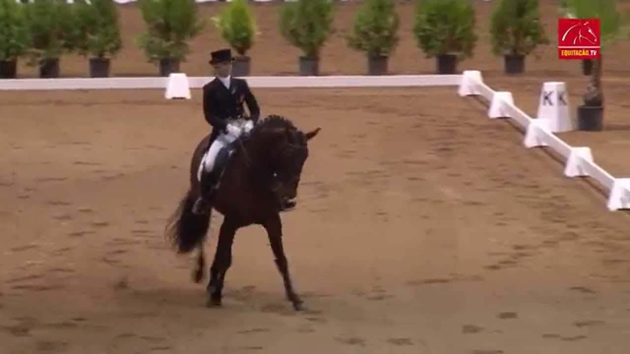 DRESSAGE: Maria Caetano Couceiro - Zyngaro de Lyw - Rural Beja 2014