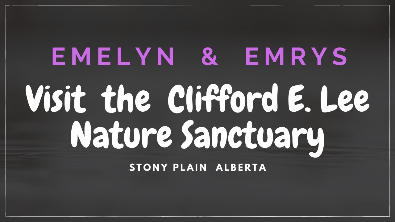 Visiting Clifford E.  Lee Nature Sanctuary