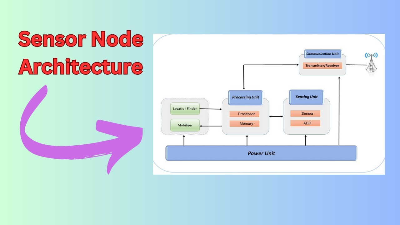 Sensor Node Architecture