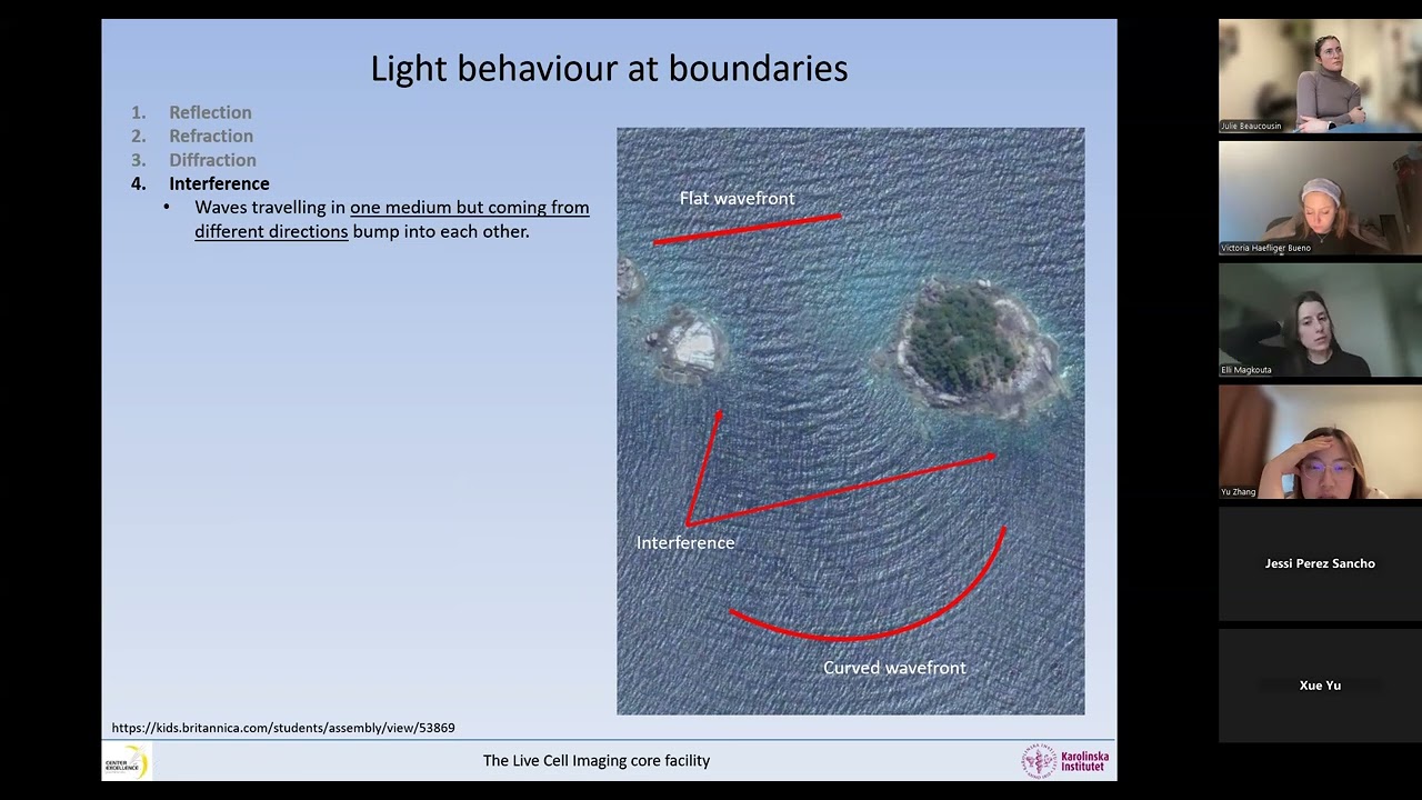Basic optics for light microscopy   2026