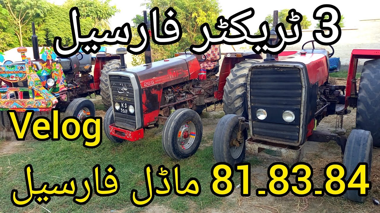 MF265 Special Model 1984 for sale|MF265 Special Model 1983 forsale|MF265 Special Model 1981For sale