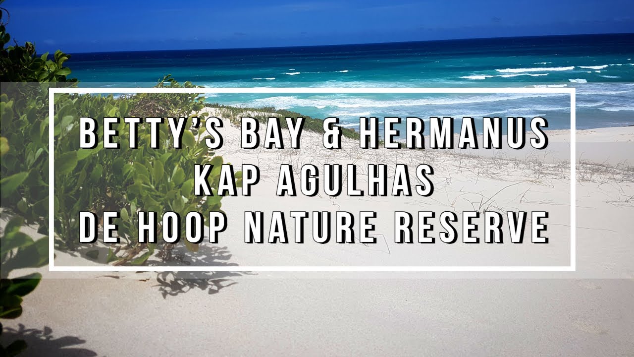 Südafrika - Betty's Bay, Hermanus, Kap Agulhas und De Hoop Nature Reserve