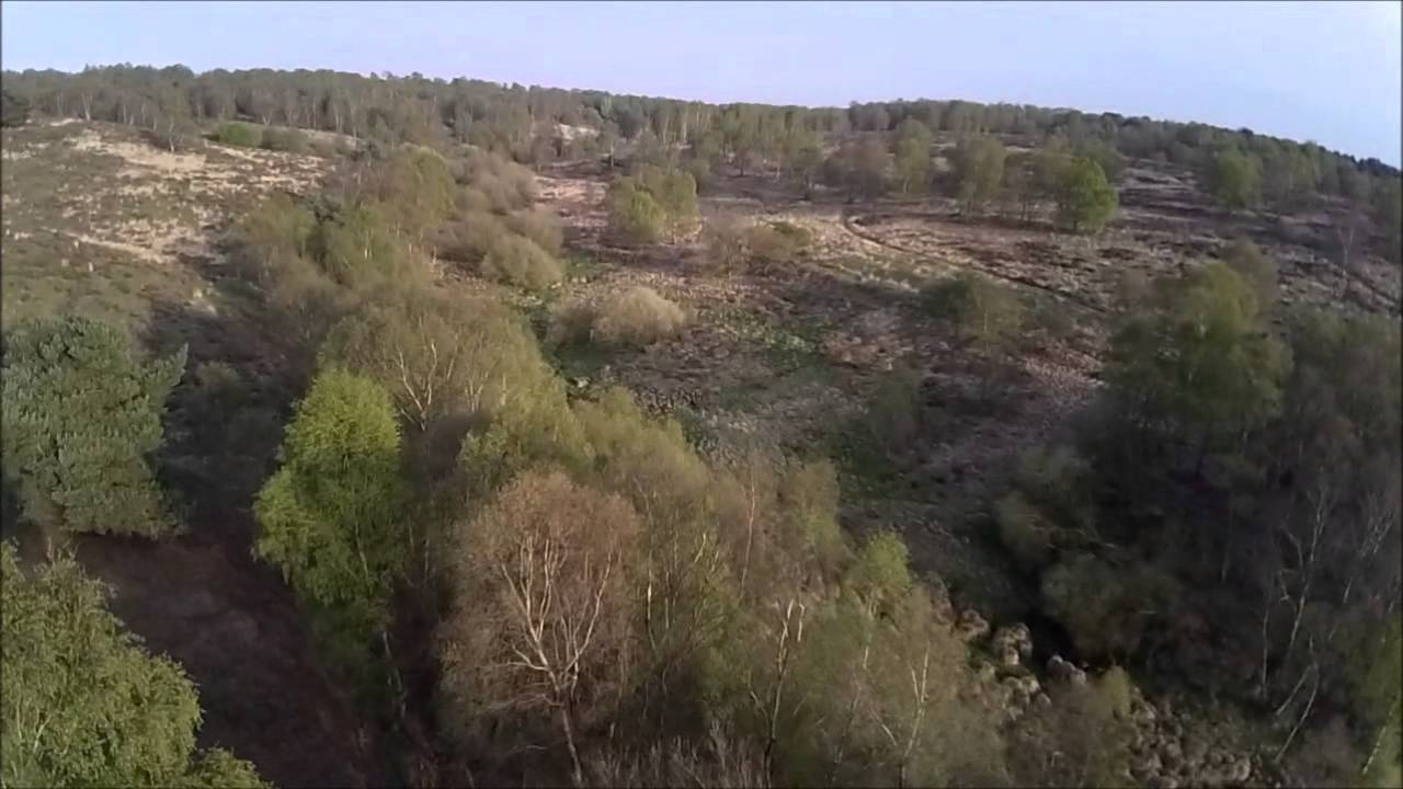 Cannock Chase , Brocton flight