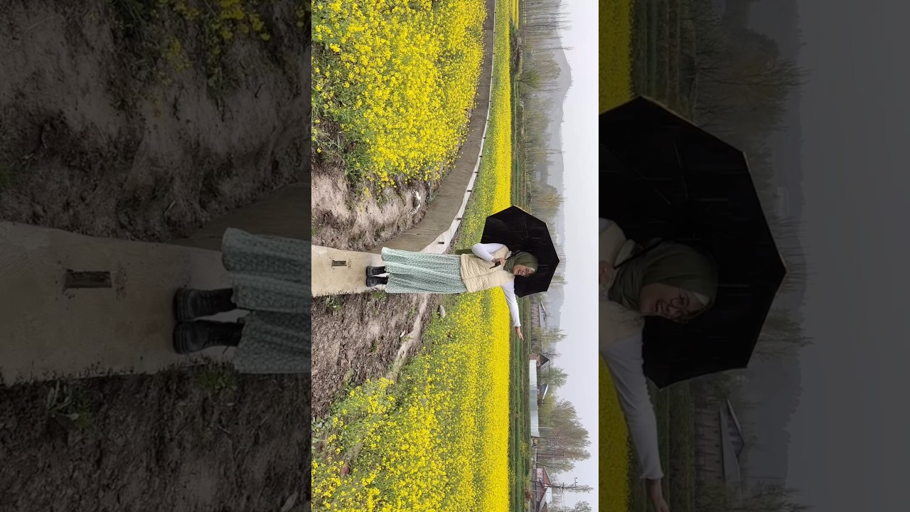 Doothpathri kashmir #farheentabasumvlogs #travel #kashmirtourism #mustard fields#ladakhivlogger