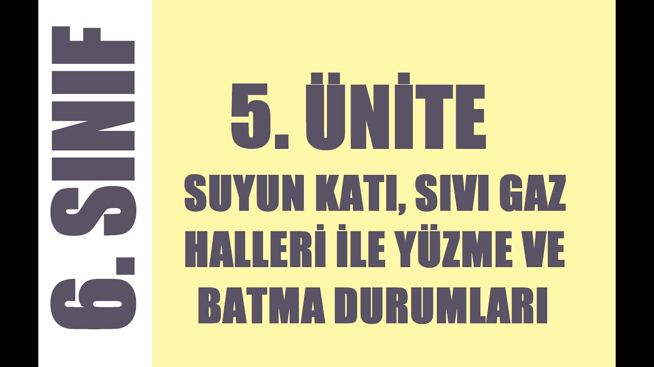 6. Sınıf Suda Yüzme ve Batma Durumları
