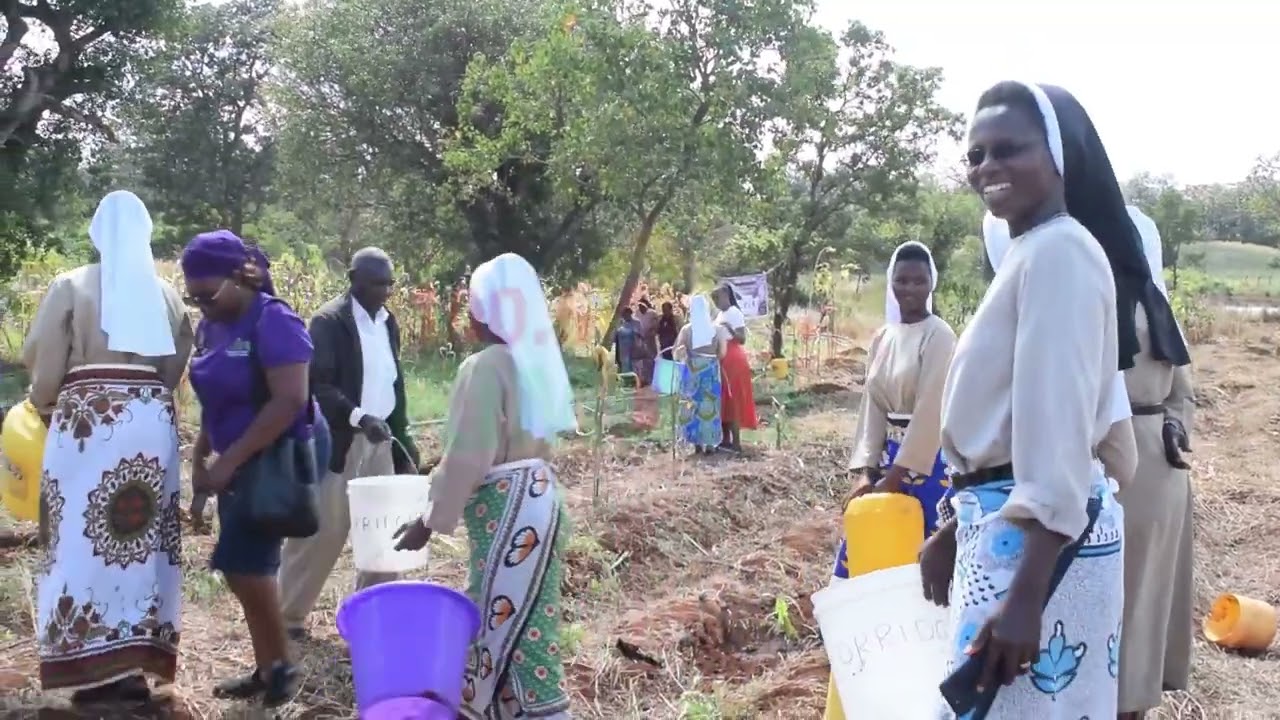 CJPD NATIONAL DELEGATES PLANT TREES AT FELICIAN SISTERS' FORMATION HOUSE (EMBU)