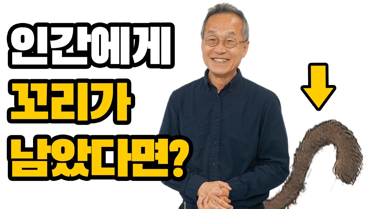 아직 인간에게 꼬리가 있다면 생기는 일?! [최재천의 아마존]
