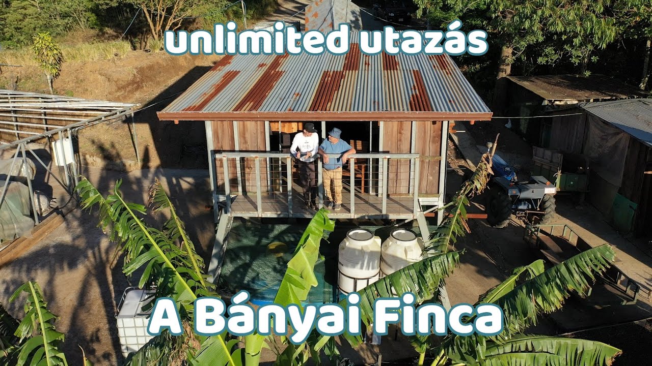 A Bányai Finca | Costa Rica #2