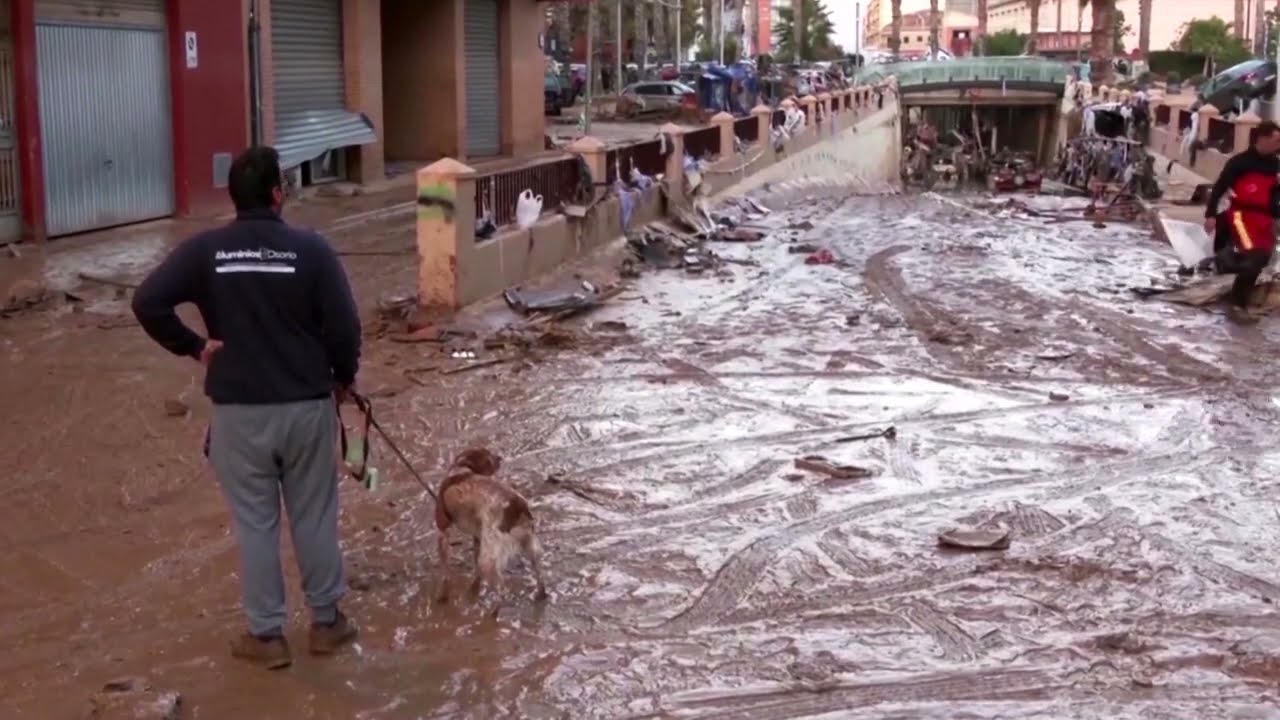 CORRECTION: Europe had most widespread floods in over a decade in 2024, scientists say | REUTERS