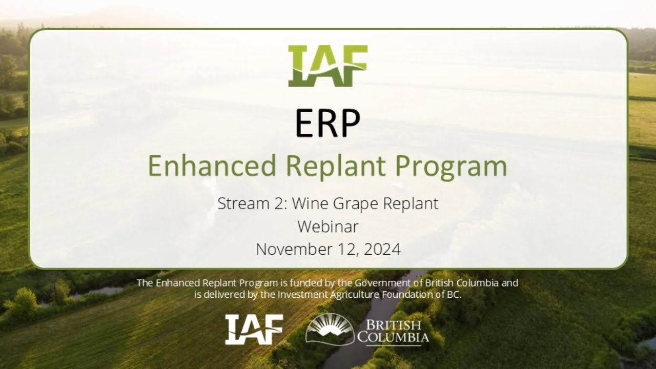 Enhanced Replant Program Stream 2: Wine Grape Replant Webinar | November 12, 2024
