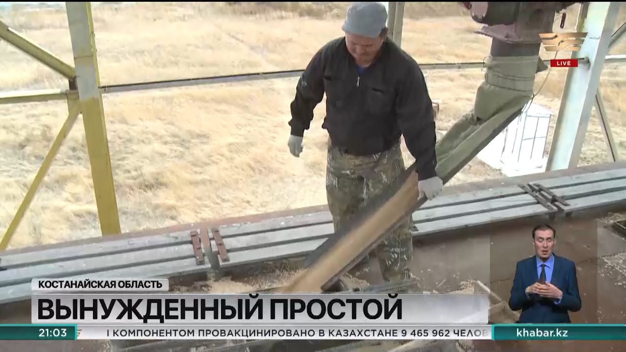 Мукомолы Казахстана столкнулись с крайне низким предложением зерна на внутреннем рынке