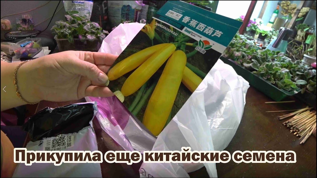 Обзор покупок с маркетплейсов: пижама, хинкальница, семена из Китая, шорты, штаны, тюль на ленте
