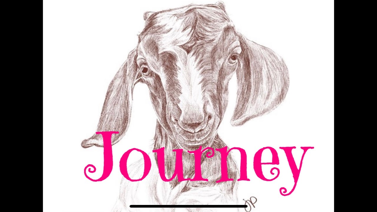 My Journey With Journey