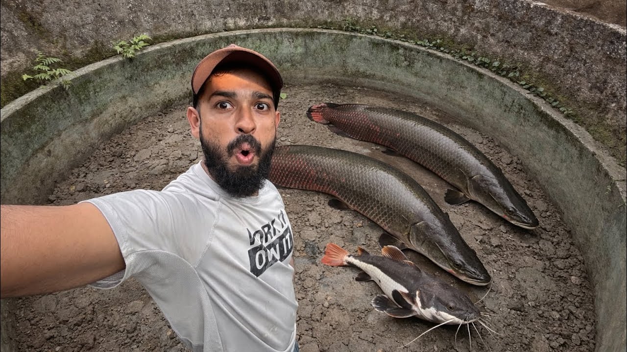 🔥ഇനി പണി കിട്ടാതെ ഇരിക്കാൻ… | Koi pond and Monster Pond Update 