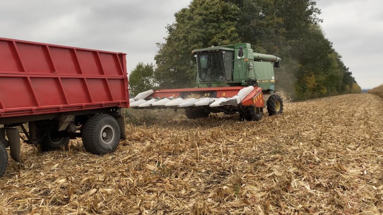 Валить на всі гроші. Уборка кукурудзи DKC 3811.