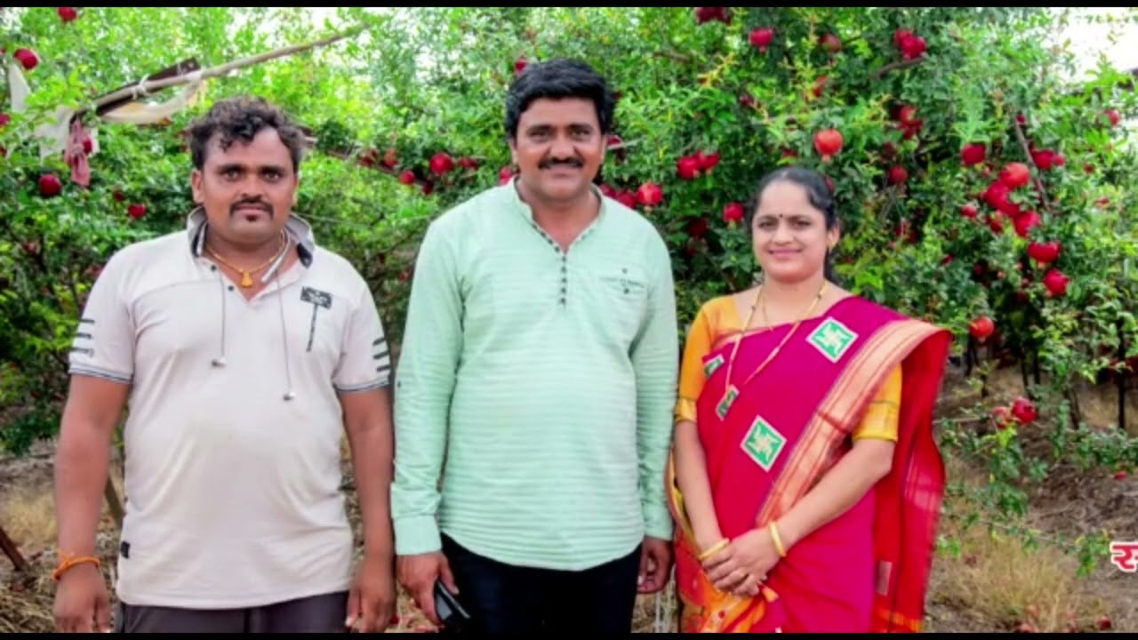 श्री आबा जाधव सातमाने  यांच्या डाळिंब पिकाची यशोगाथा