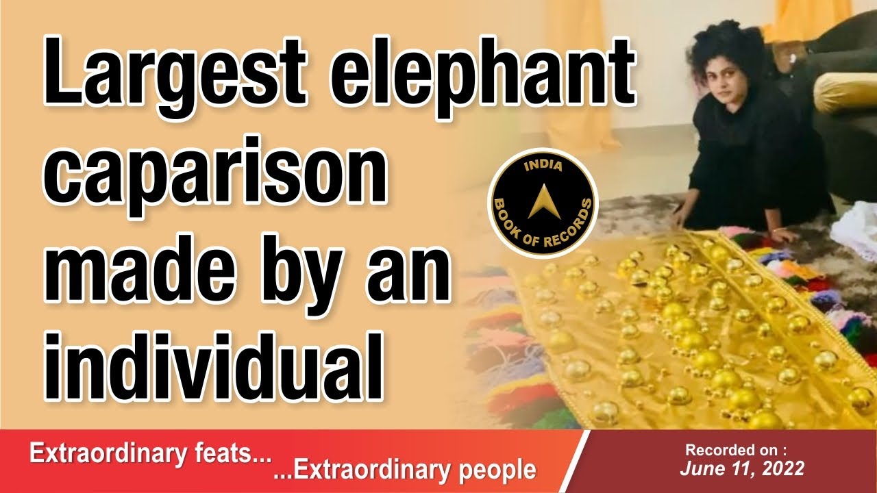 Largest elephant caparison made by an individual
