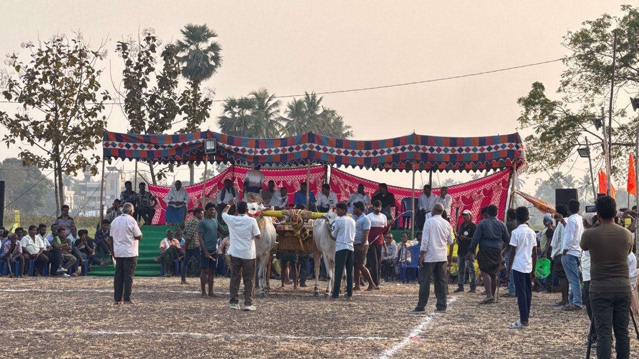 Uppuluru Race | 10 వ జత | చందాన వేరేశ్వరరావు గారు కొత్తపాలెం |