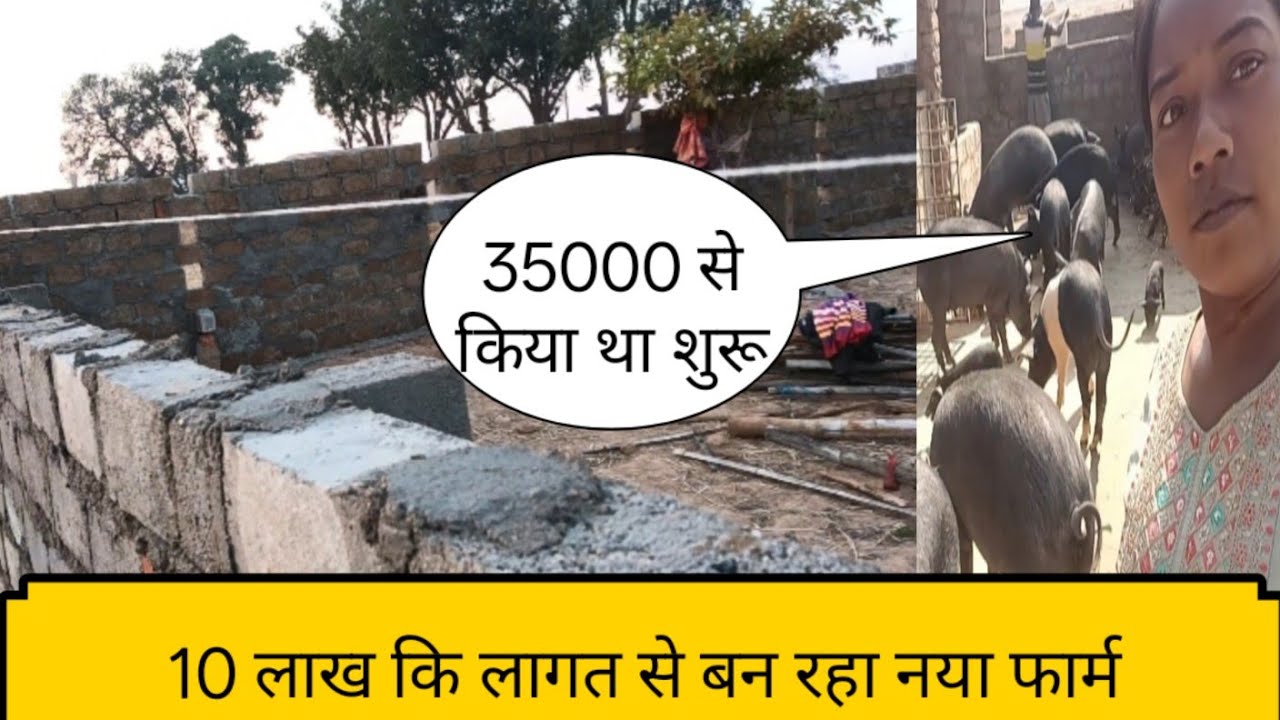 दो साल में खड़ा हो गया इतना बड़ा सुअर फॉर्म /35000 से किया था शुरू?