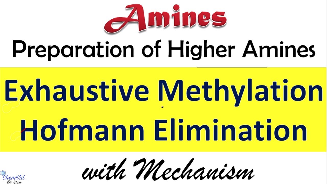 Exhaustive Methylation and Hofmann Elimination || Preparation of Amines || ChemVid Dr. Dipti