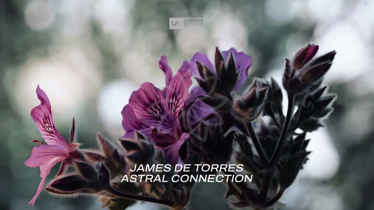James De Torres - Astral Connection