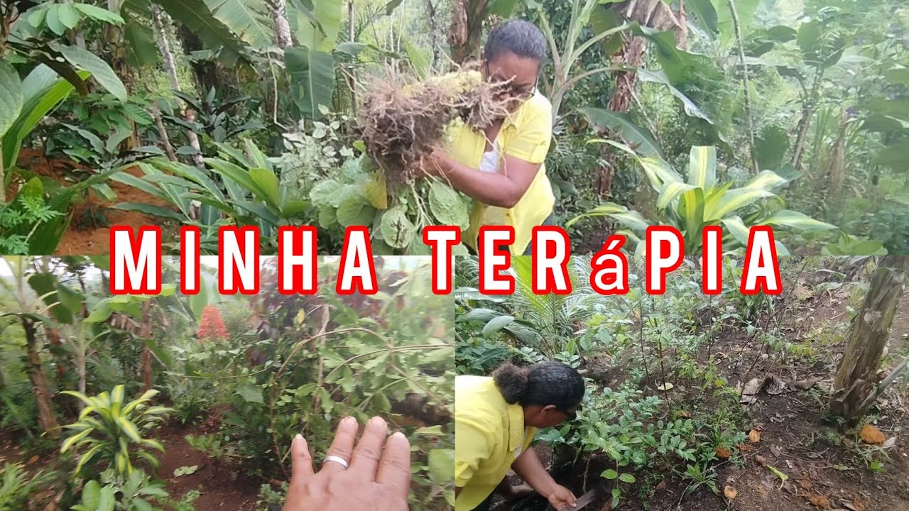 Jardim do sero 🥀/fazendo limpeza/inesperado aconteceu 💔🥺