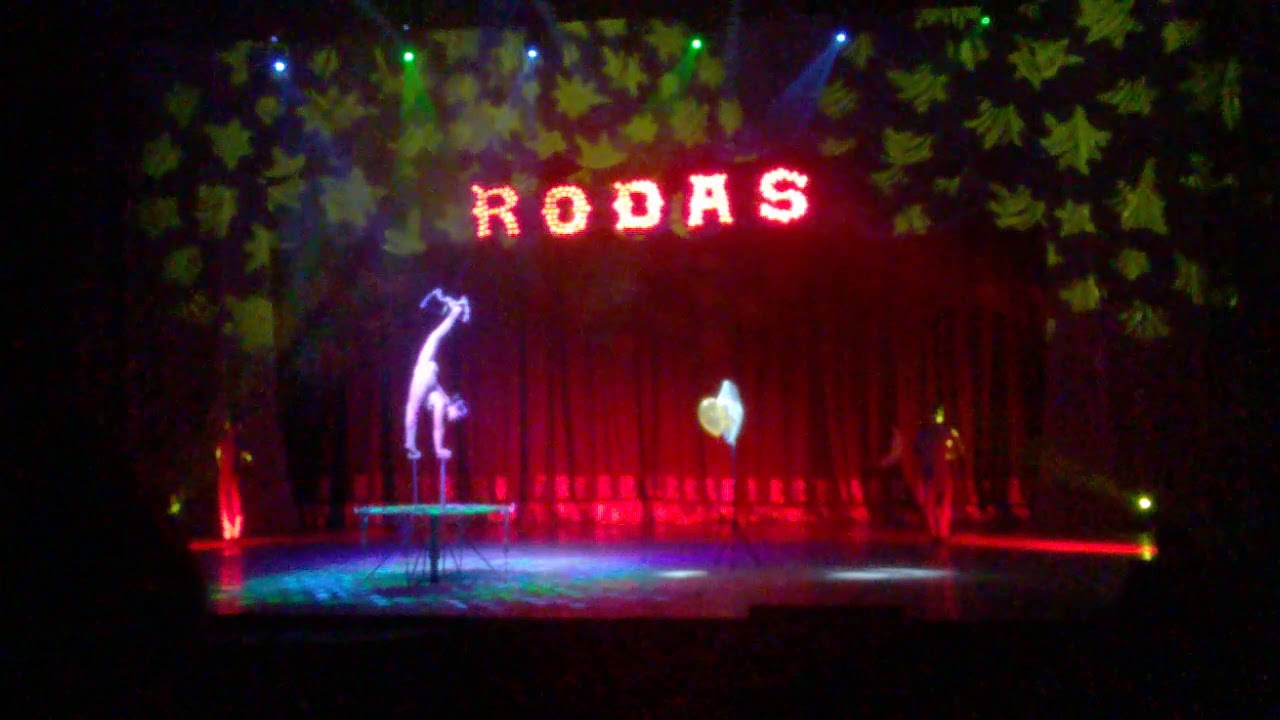 mi visita al circo rodas 3-3-2019
