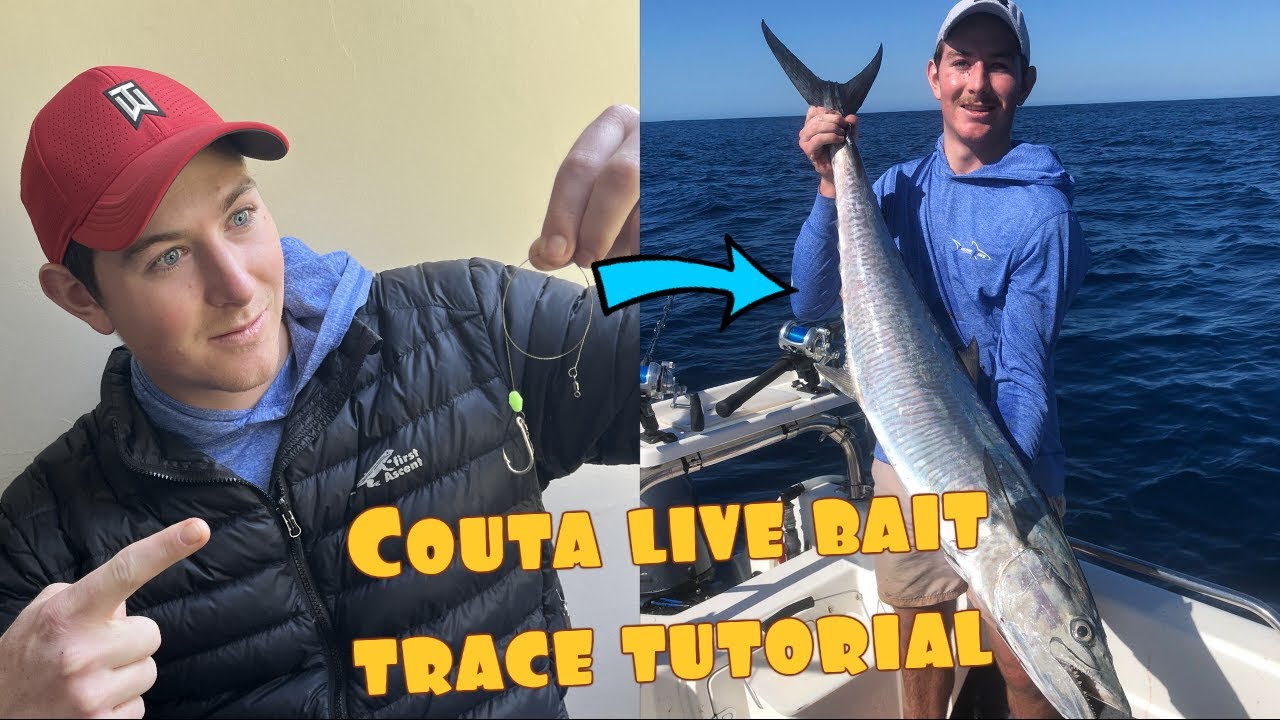 Couta live bait trace tutorial