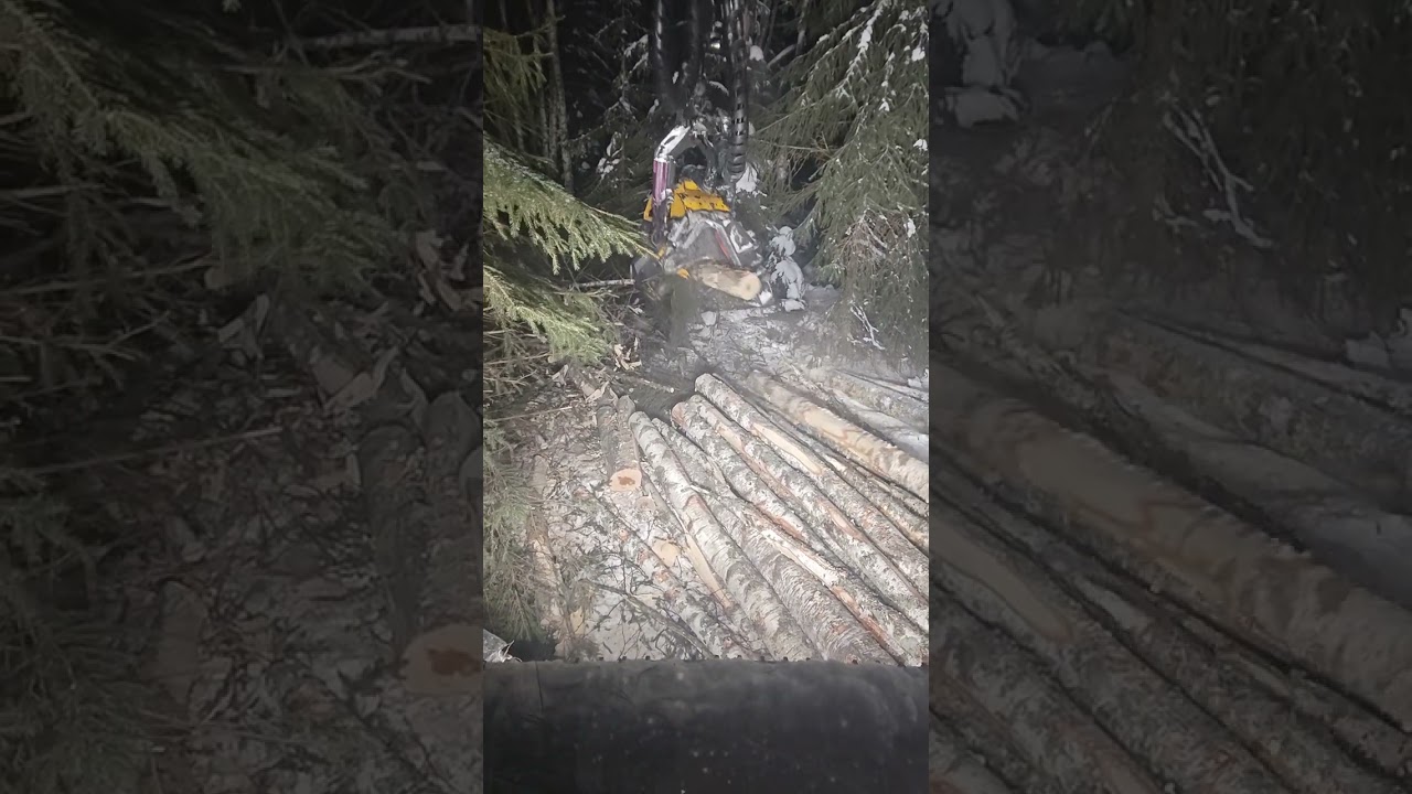Ylispuun poistosta pientä pätkää. Ponsse Scorpion 