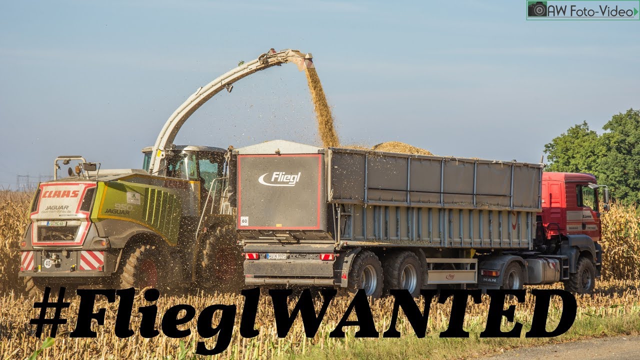 Fliegl Anh&auml;nger im Einsatz ► #FlieglWanted