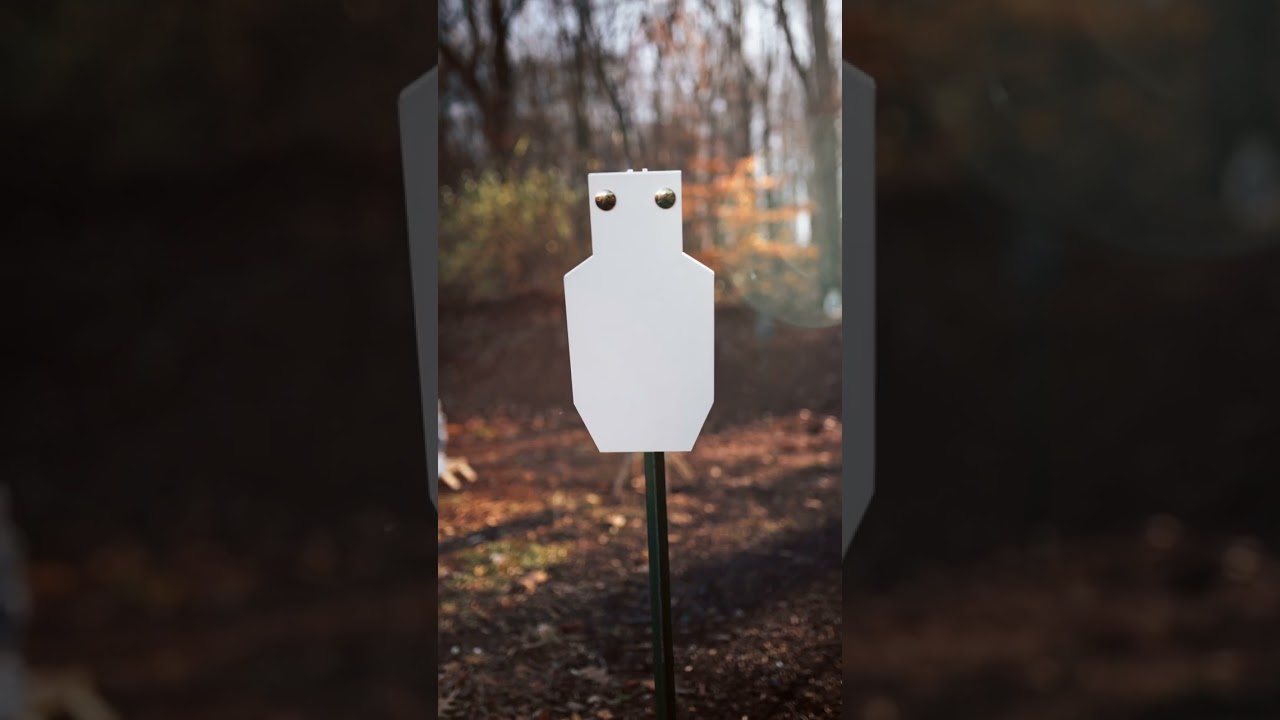 The Cheapest way to get into AR550 steel targets