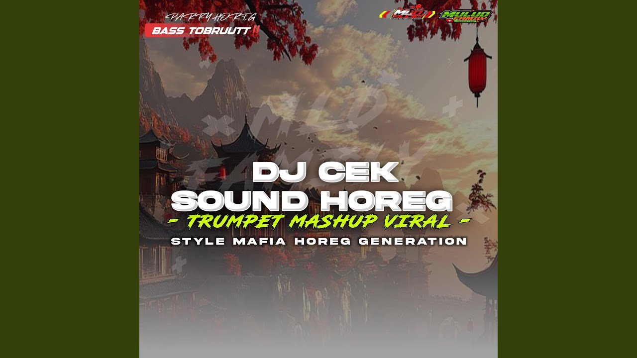 Dj Cek Sound horeg (Remix)