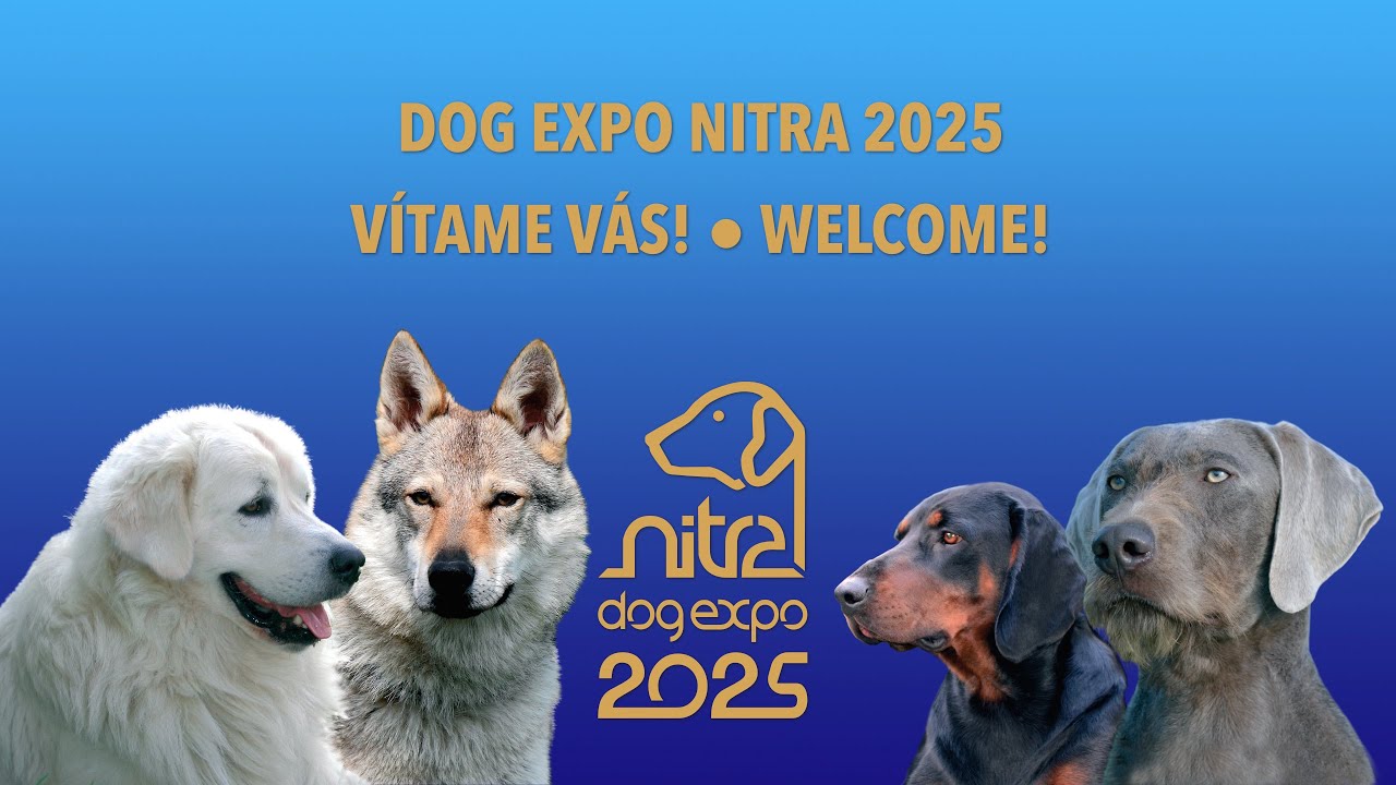 DOG EXPO NITRA 2025 Friday