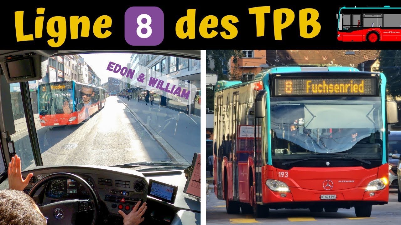 🚌 Voyage en cabine en duo : Ligne 8️⃣ des TPB