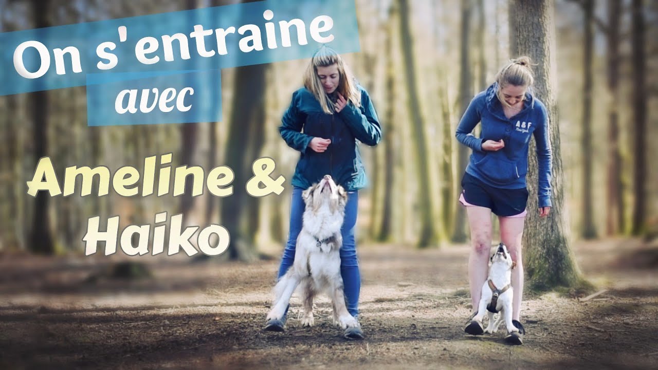 ON S'ENTRAINE AVEC AMELINE & HAÏKO ! - Dog tricks