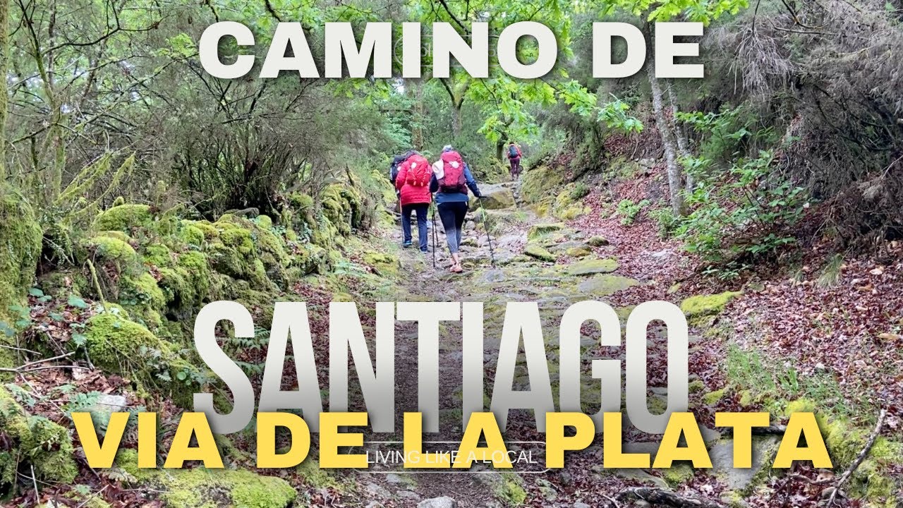 Camino de Santiago - Via de la Plata (da Ourense) 2024