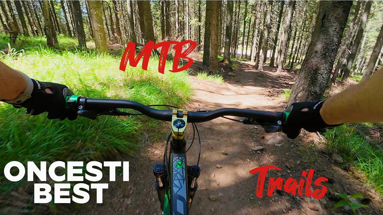 MTB Downhill Paltinis - Oncesti