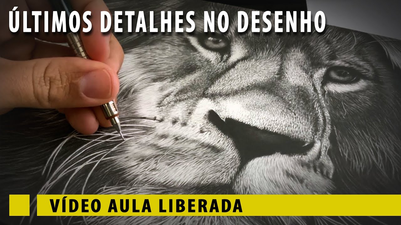 Finalizando o desenho do leão! - Vídeo aula exclusiva
