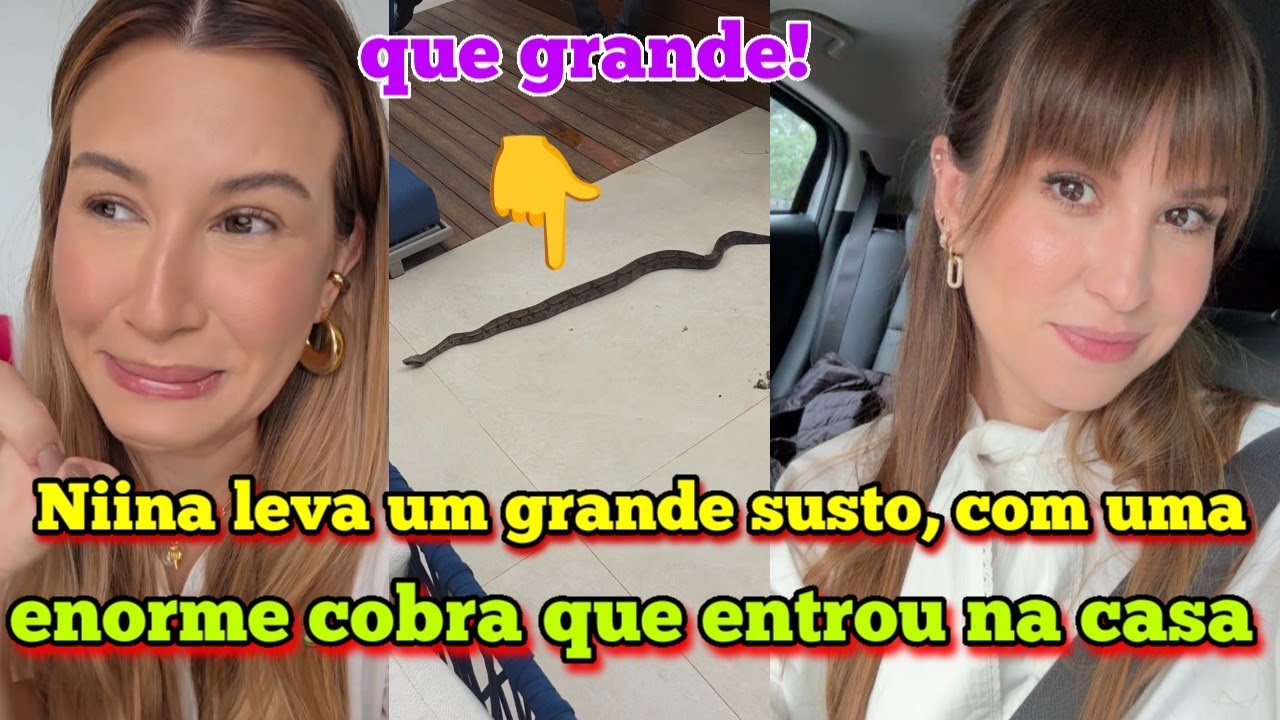 Niina Secrets passou por um grande susto com uma cobra que entrou na casa dela 😱🐍 vlog do dia.