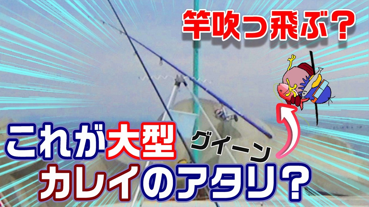 神爆釣！堤防が釣れた大カレイで埋め尽くされる衝撃！！【魚神の釣りいかれへんわ】