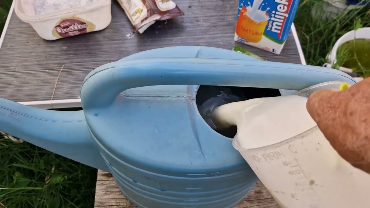 Za krupnije plodove i brže dozrijevanje paradajza ovo dodajte u zemlju u julu