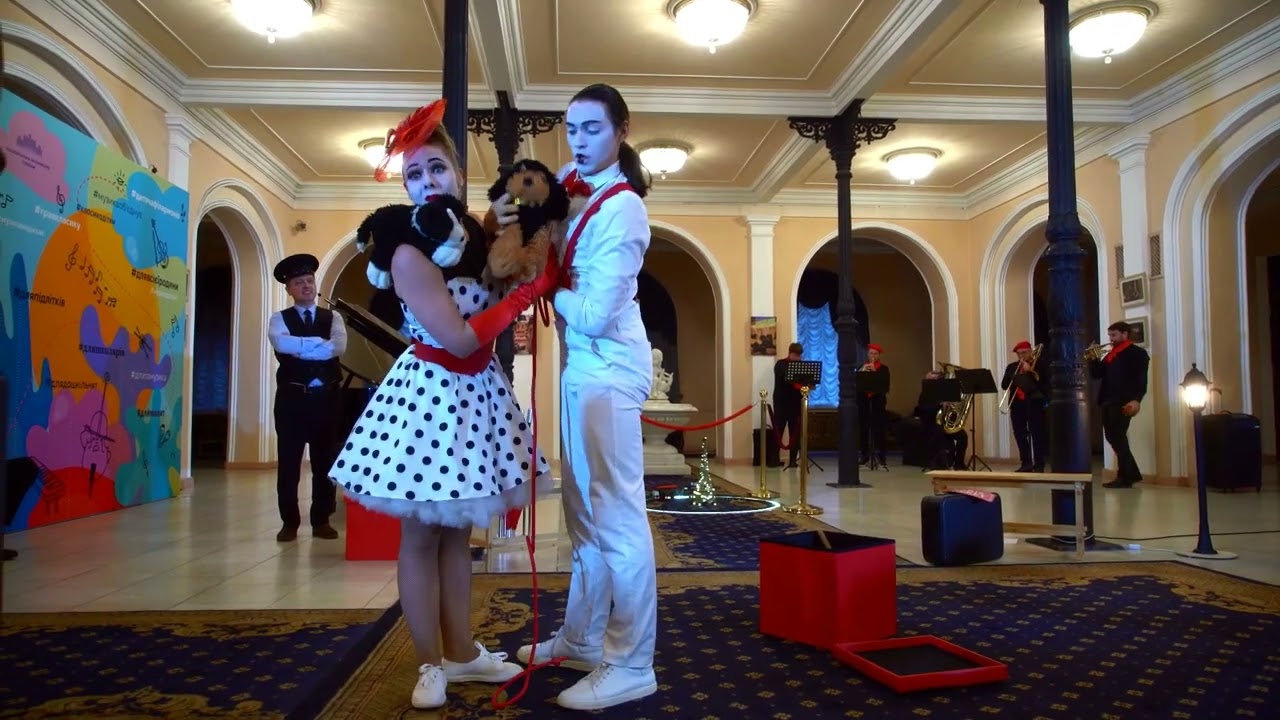 Собачий багаж