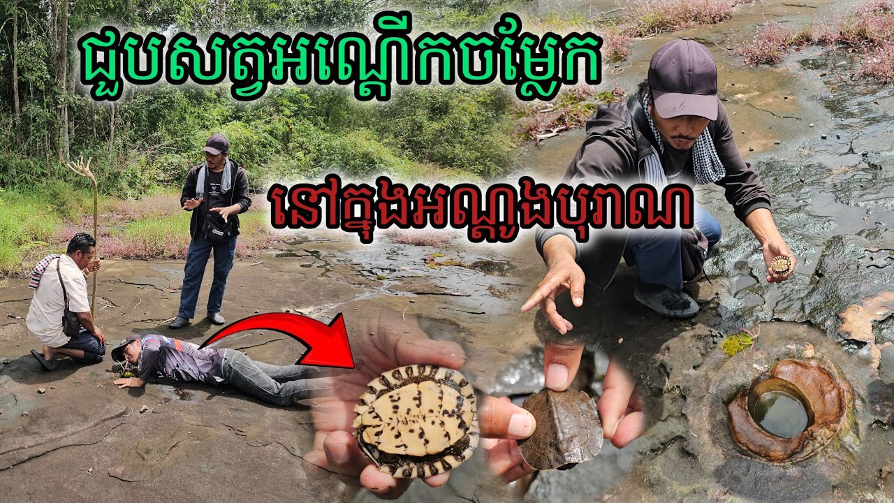 ជួបសត្វអណ្ដើកចម្លែកនៅក្នុងអណ្ដូងបុរាណ