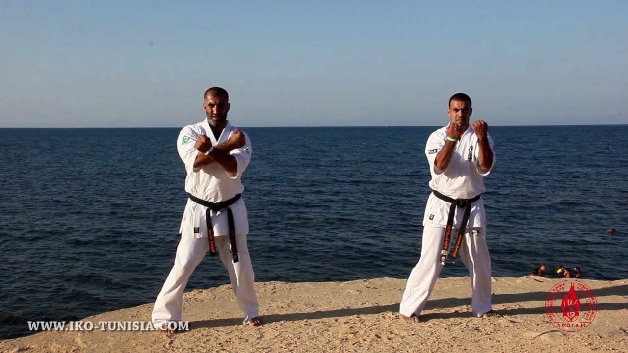 *Official* Kyokushin Champions