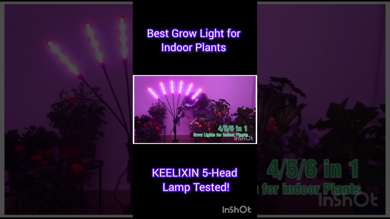 Best Grow Light for Indoor Plants  #growlight #growlighting #ledgrowlights #easytogrow #indoorgrower