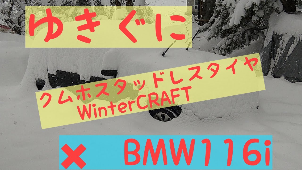【BMW116i】