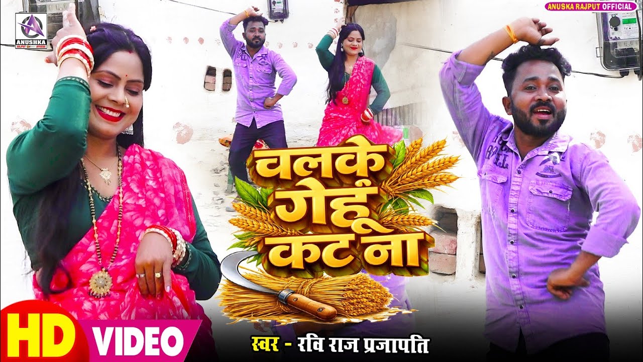 #VIDEO | चलके गेहूं काटा ना | #Ravi Raj Prajapati | Chalke Gehu Kata Na | #Kaharwa Dhobi Geet Chaita